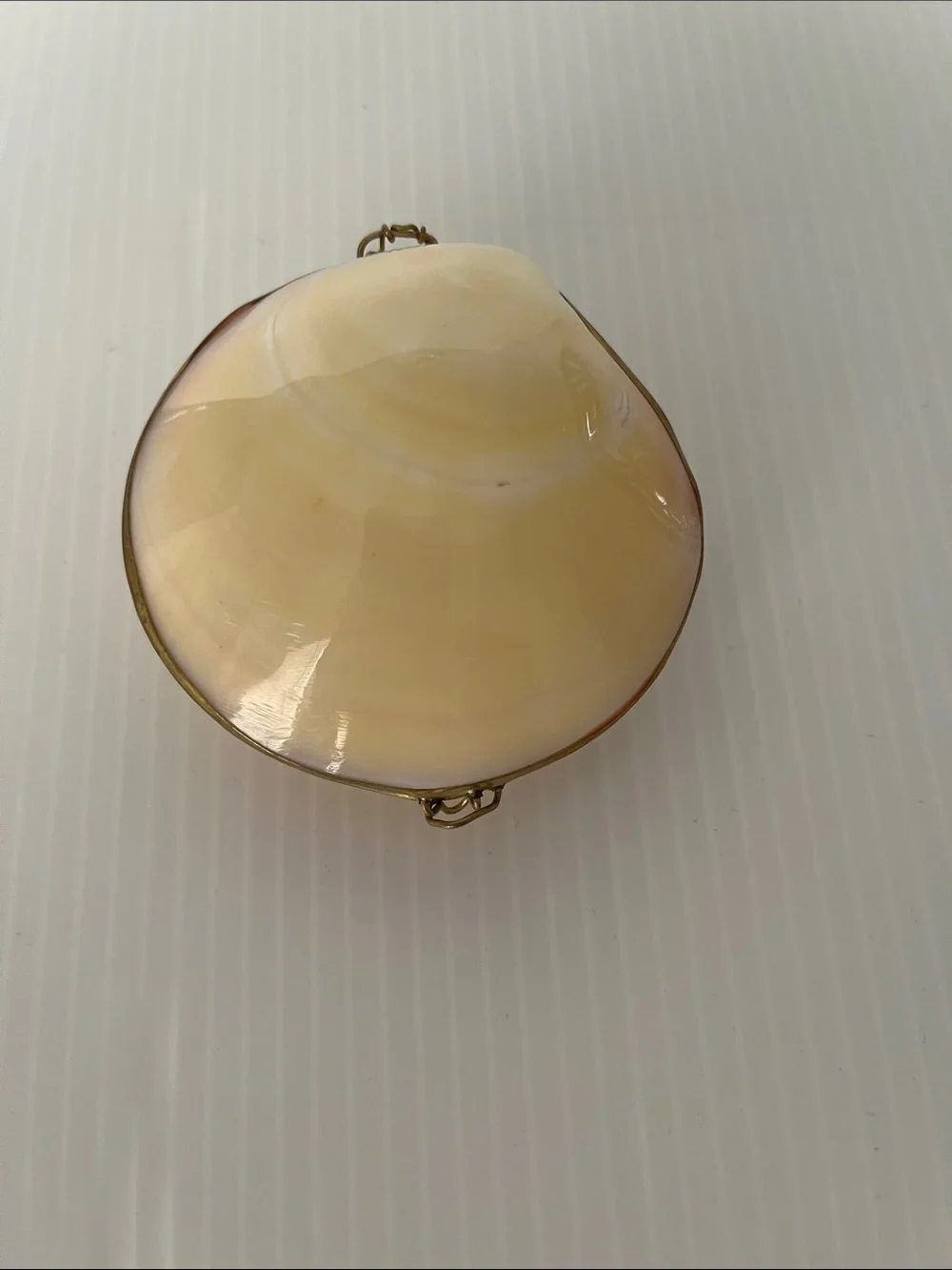 Vintage Polished Natural Clam Shell Trinket Box
